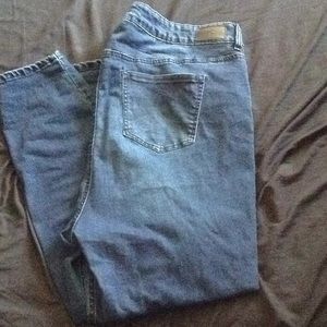 Plus size 22 celerity pink jeans